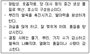 문제 이미지