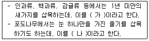 문제 이미지