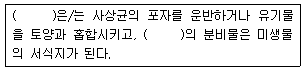문제 이미지