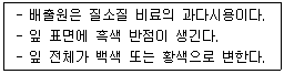 문제 이미지