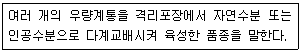 문제 이미지