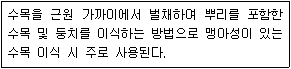 문제 이미지