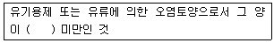 문제 이미지