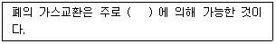 문제 이미지