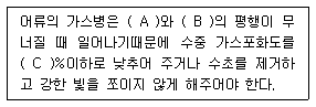 문제 이미지