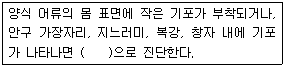문제 이미지