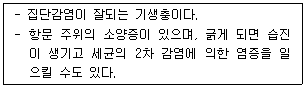 문제 이미지