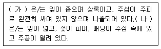 문제 이미지