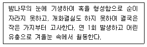 문제 이미지