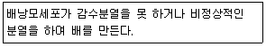 문제 이미지