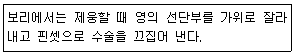 문제 이미지