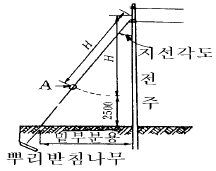 문제 이미지