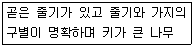 문제 이미지