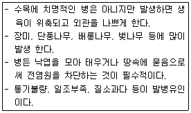 문제 이미지
