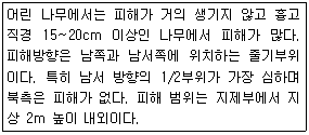 문제 이미지