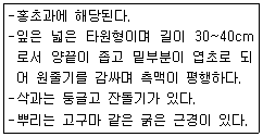 문제 이미지