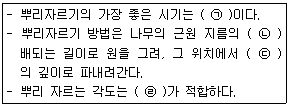 문제 이미지