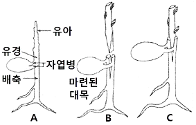 문제 이미지
