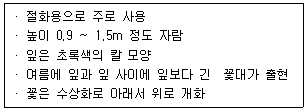 문제 이미지