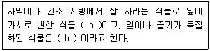 문제 이미지