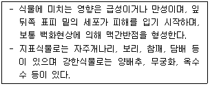 문제 이미지