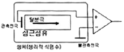 문제 이미지