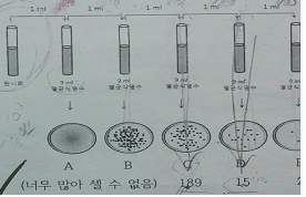 문제 이미지