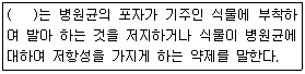 문제 이미지