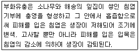 문제 이미지