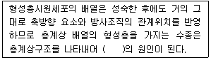 문제 이미지