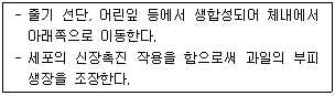 문제 이미지