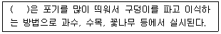 문제 이미지