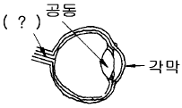 문제 이미지