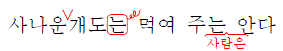 문제 이미지