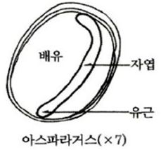 문제이미지