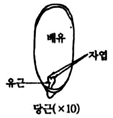 문제이미지