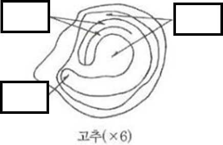 문제이미지