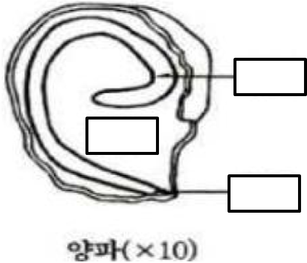 문제이미지