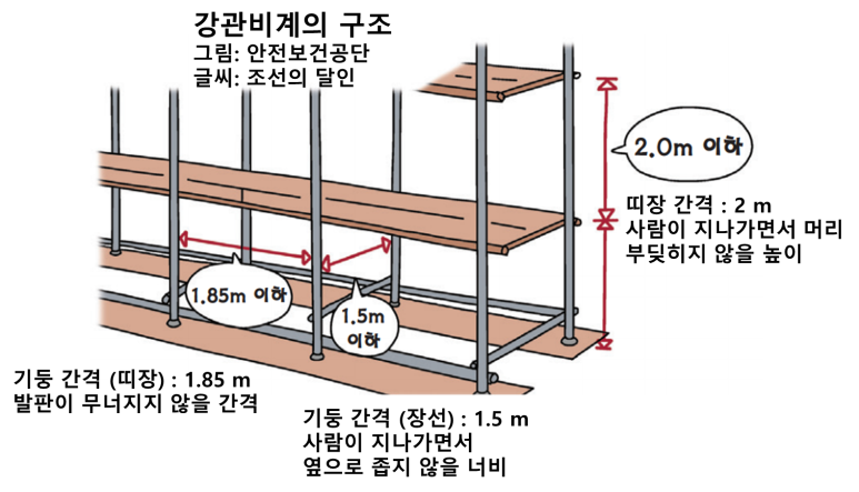 정답 이미지