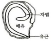 문제이미지