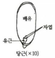 문제이미지