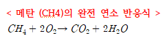 정답 이미지
