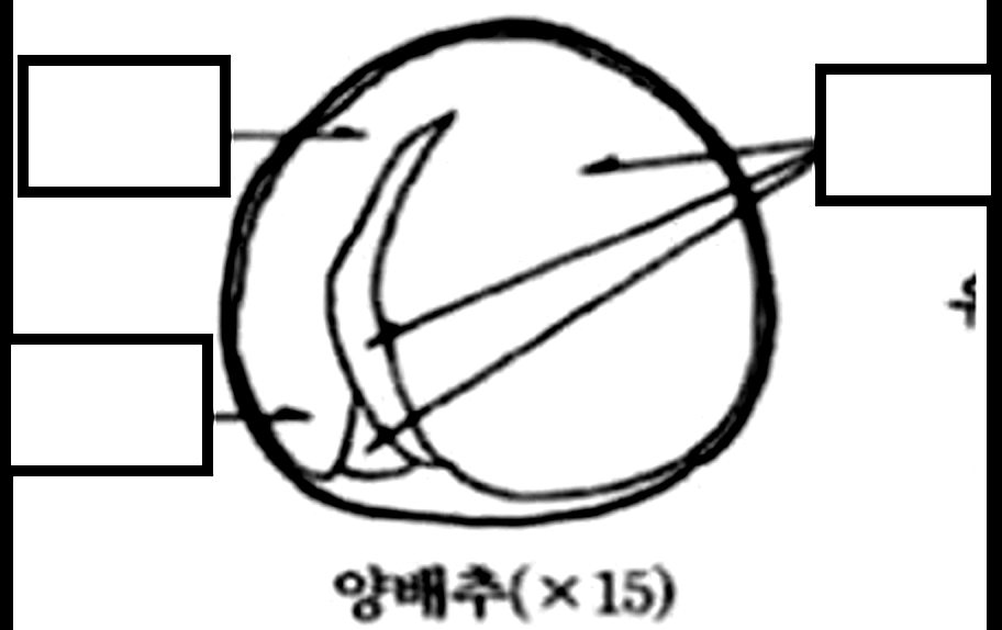 문제이미지