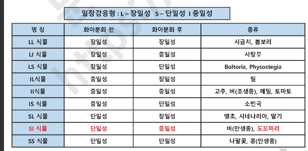 문제이미지