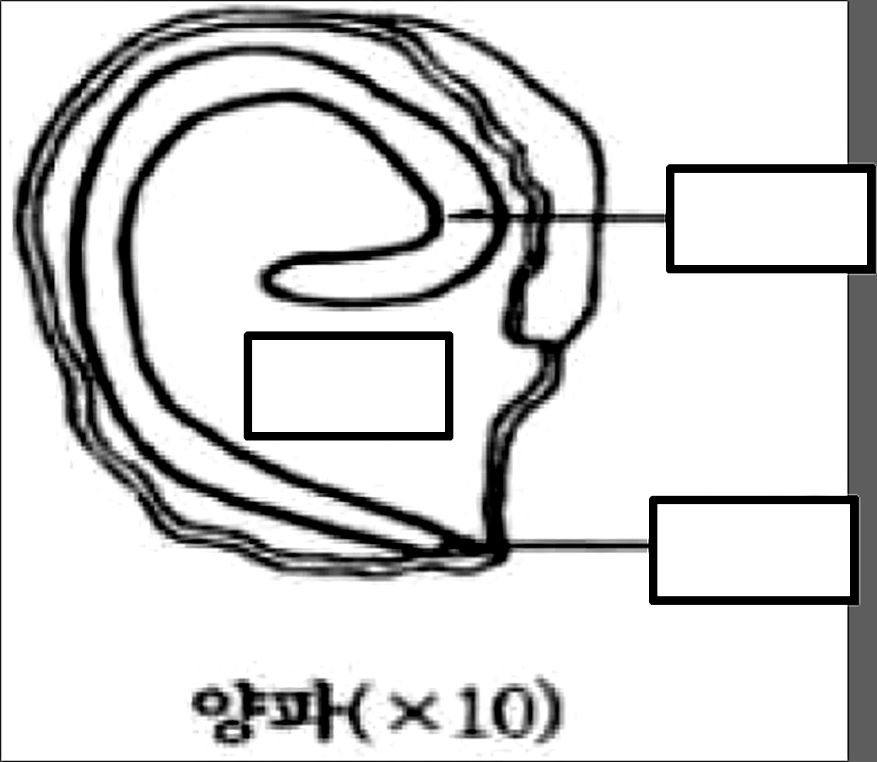 문제이미지