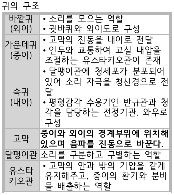 문제이미지
