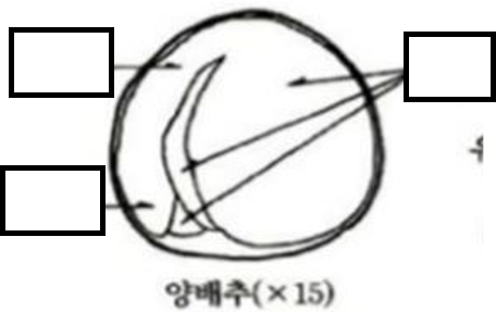 문제이미지