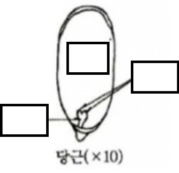 문제이미지