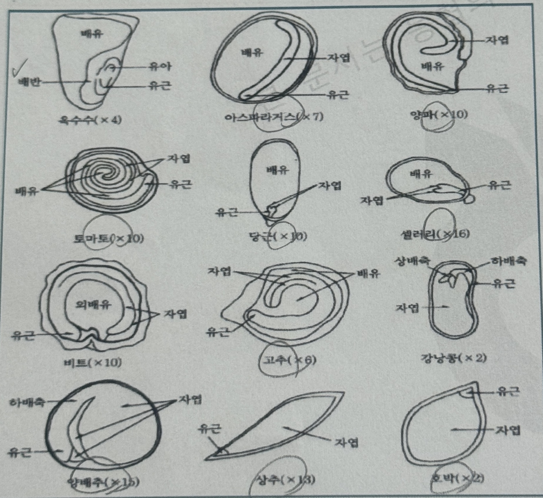 문제이미지