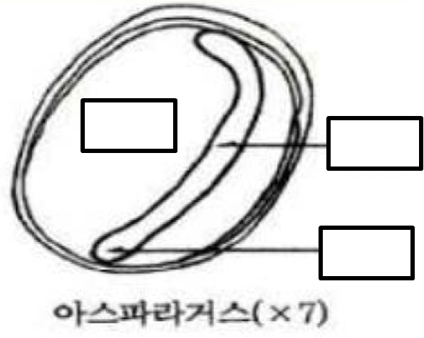 문제이미지